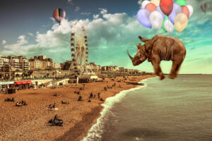Rhino and balloon